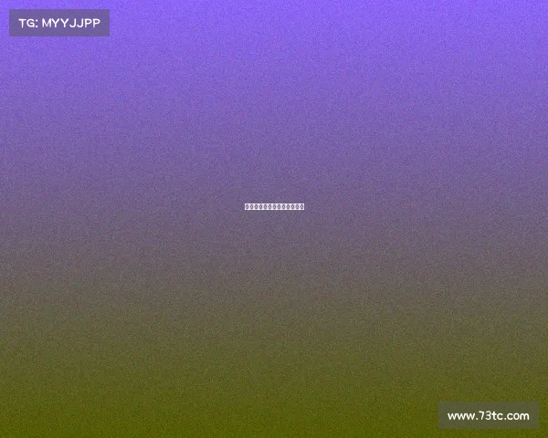 拳坛新纪元霸主之争热血开启